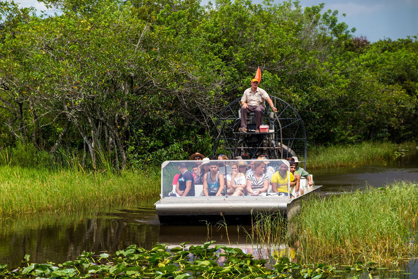 A group of tourists see the Everglades by airboat